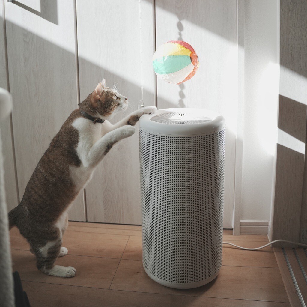 MUJI (無印良品) - 無印空気清浄機 コンパクト空気清浄機 | 無印良品